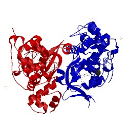 Image of CATH 4aao