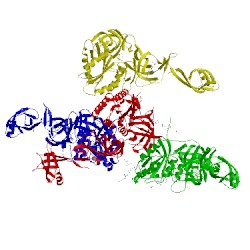 Image of CATH 4acb