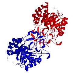 Image of CATH 4acz