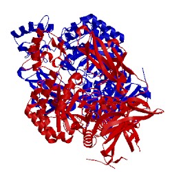 Image of CATH 4aee