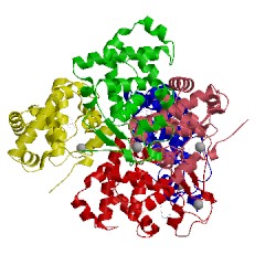 Image of CATH 4ai5