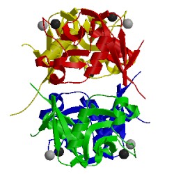 Image of CATH 4ak8