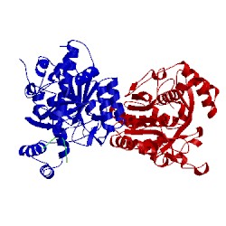 Image of CATH 4akt