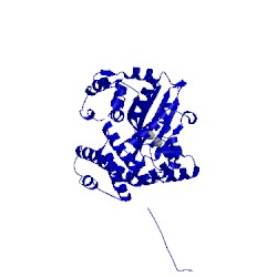 Image of CATH 4ams