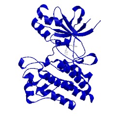 Image of CATH 4aoi