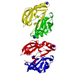 Image of CATH 4aqp