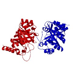 Image of CATH 4axk