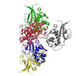 Image of CATH 4axm