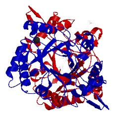 Image of CATH 4axn