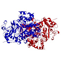 Image of CATH 4b2n