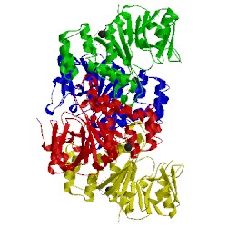 Image of CATH 4b4g