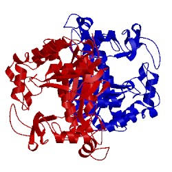 Image of CATH 4b4h