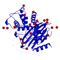 Image of CATH 4bd1