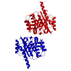 Image of CATH 4bg2