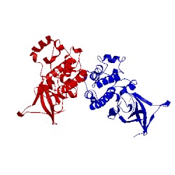 Image of CATH 4bie