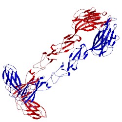 Image of CATH 4bkf