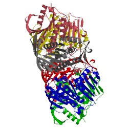 Image of CATH 4blq