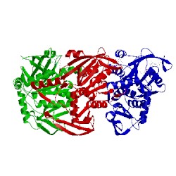 Image of CATH 4bls