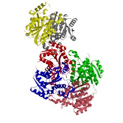 Image of CATH 4bms