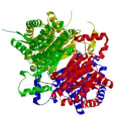 Image of CATH 4bo6