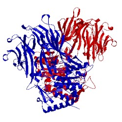 Image of CATH 4bp8