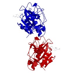 Image of CATH 4bs6