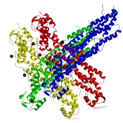 Image of CATH 4bwe