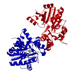 Image of CATH 4bx2