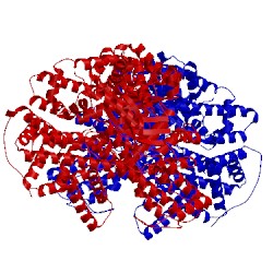 Image of CATH 4bxh