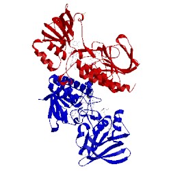 Image of CATH 4cbq