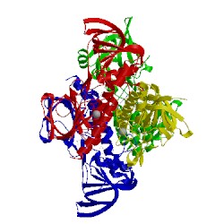 Image of CATH 4ccr