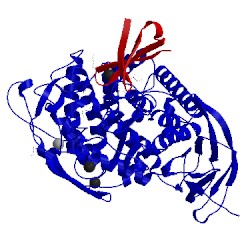 Image of CATH 4cj0