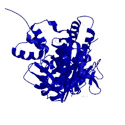 Image of CATH 4cll