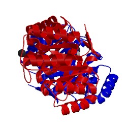 Image of CATH 4clm