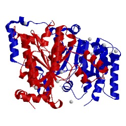 Image of CATH 4cmv