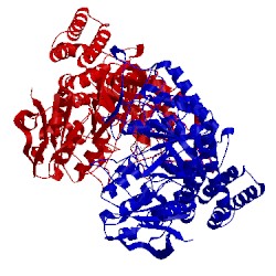 Image of CATH 4cn1