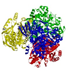 Image of CATH 4cns