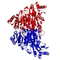 Image of CATH 4cok