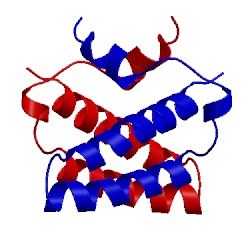 Image of CATH 4cpg