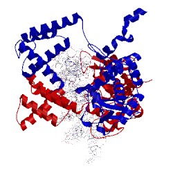 Image of CATH 4crx