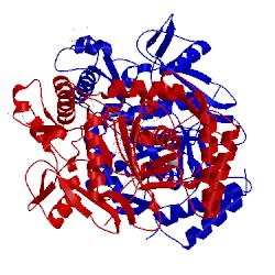 Image of CATH 4cun