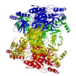 Image of CATH 4cy8