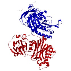 Image of CATH 4cyg