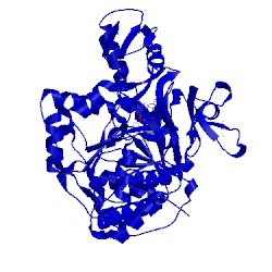 Image of CATH 4d4g