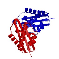 Image of CATH 4d53