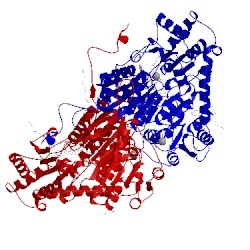 Image of CATH 4d5g