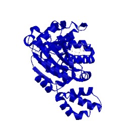 Image of CATH 4d7q