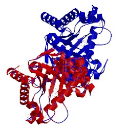 Image of CATH 4d8a