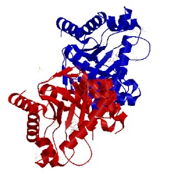 Image of CATH 4d9p