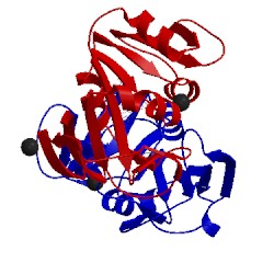 Image of CATH 4dfr